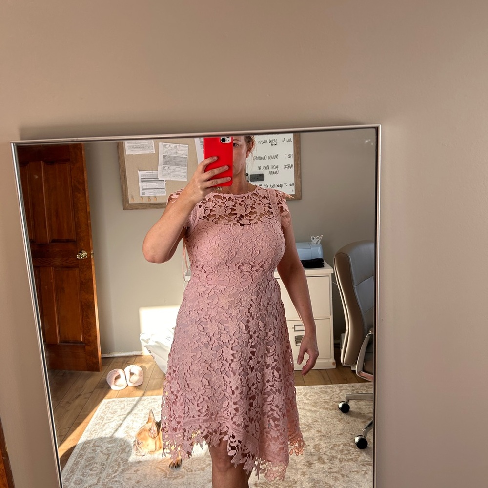Eliza J Navy Asymmetrical Lace Dress - Picture 6 of 6